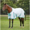 WeatherBeeta Green-Tec 900D Standard Neck Lite Plus 10051580 - Light Grey / Bottle Green Colour Bottle Green/Light Grey -Chic Equestrian Supplies WeatherBeeta20GreenTec20900D20Standard20Neck20Lite20Plus201005158020Light20Grey20Bottle20Green1.700x700