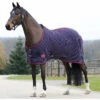Weatherbeeta Waffle Cooler Standard Neck Rug - Navy / Red Colour Red/Navy 2 Weatherbeeta Waffle Cooler Standard Neck Rug - Navy / Red Colour Red/Navy -Chic Equestrian Supplies Weatherbeeta Waffle Cooler Standard Neck Navy Red.700x700