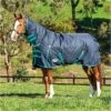 Weatherbeeta Comfitec Classic Medium Combo Neck Rug - Black / Green Colour Green/Black 1 Weatherbeeta Comfitec Classic Medium Combo Neck Rug - Black / Green Colour Green/Black -Chic Equestrian Supplies Weatherbeeta20Comfitec20Classic20Combo20Neck20Medium20Black20Green.700x700
