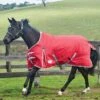 2022 Weatherbeeta Comfitec Classic Medium-Lite Standard Neck Turnout Rug - Red / Silver 1 2022 Weatherbeeta Comfitec Classic Medium-Lite Standard Neck Turnout Rug - Red / Silver -Chic Equestrian Supplies Weatherbeeta20Comfitec20Classic20Standard20Neck20Medium20Lite20100940220 20Red.700x700