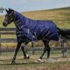 Weatherbeeta Comfitec Essential Medium Combo Neck Rug - Navy / Silver 1 Weatherbeeta Comfitec Essential Medium Combo Neck Rug - Navy / Silver -Chic Equestrian Supplies Weatherbeeta20Comfitec20Essential20Combo20Neck20Medium20Navy20Silver20Red20 20front.700x700