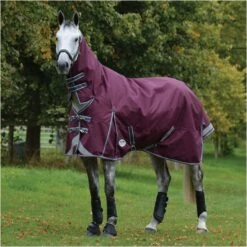 Weatherbeeta Comfitec Plus Dynamic II Lite Combo Neck Rug - Maroon / Grey