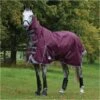 Weatherbeeta Comfitec Plus Dynamic II Medium-Lite Combo Neck Rug - Maroon / Grey Colour Grey/Maroon 2 Weatherbeeta Comfitec Plus Dynamic II Medium-Lite Combo Neck Rug - Maroon / Grey Colour Grey/Maroon -Chic Equestrian Supplies Weatherbeeta20Comfitec20Plus20Dynamic20II20Combo20Neck20Medium20Lite20100691220 20Maroon.700x700
