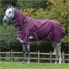 Weatherbeeta Comfitec Plus Dynamic II Lite Detach-A-Neck Rug - Maroon / Grey -Chic Equestrian Supplies Weatherbeeta20Comfitec20Plus20Dynamic20II20Detach A Neck20Lite20100691620 20Maroon.700x700