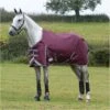 Weatherbeeta Comfitec Plus Dynamic II Lite Standard Neck Rug - Maroon / Grey -Chic Equestrian Supplies Weatherbeeta20Comfitec20Plus20Dynamic20II20Standard20Neck20Lite20100691320 20Maroon.700x700