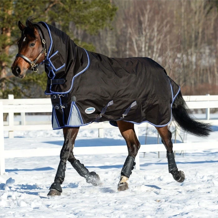 Weatherbeeta Comfitec Ultra Cozi Medium Detach-A-Neck Rug - Charcoal / Blue 3 Weatherbeeta Comfitec Ultra Cozi Medium Detach-A-Neck Rug - Charcoal / Blue