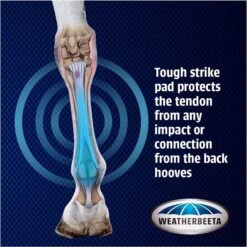 Weatherbeeta Cross Country Boots Hind - Black 11 Weatherbeeta Cross Country Boots Hind - Black -Chic Equestrian Supplies Weatherbeeta20Cross20Country20Boots20Front20 20Black20graphi.700x700 1