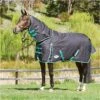 Weatherbeeta Green-Tec 900D Detatch-A-Neck Medium - Black / Bottle Green -Chic Equestrian Supplies Weatherbeeta20Green Tec20900D20Deatch A Neck20Lite20Plus20 20Black20Bottle20Green201.700x700