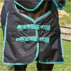 Weatherbeeta Green-Tec 900D Detatch-A-Neck Medium - Black / Bottle Green -Chic Equestrian Supplies Weatherbeeta20Green Tec20900D20Deatch A Neck20Lite20Plus20 20Black20Bottle20Green205.700x700