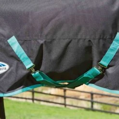 Weatherbeeta Green-Tec 900D Lite Plus Detach-A-Neck Rug - Black / Bottle Green -Chic Equestrian Supplies Weatherbeeta20Green Tec20900D20Deatch A Neck20Lite20Plus20 20Black20Bottle20Green207.700x700 1