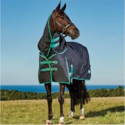 Weatherbeeta Green-Tec 900D Lite Plus Detach-A-Neck Rug - Black / Bottle Green -Chic Equestrian Supplies Weatherbeeta20Green Tec20900D20Deatch A Neck20Lite20Plus20 20Black20Bottle20Green208.700x700 1