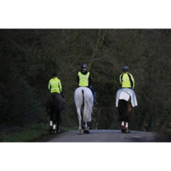 2022 Weatherbeeta Reflective Wrap Around Exercise Sheet 1004324 - Silver / Black -Chic Equestrian Supplies Weatherbeeta20Reflective20Wrap20Around20Exercise20Sheet20Silver20Black201004324 lifestyle.700x700