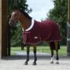 Weatherbeeta Sherpa Fleece Cooler Standard Neck Rug - Maroon / White 2 Weatherbeeta Sherpa Fleece Cooler Standard Neck Rug - Maroon / White -Chic Equestrian Supplies Weatherbeeta20Sherpa20Fleece20Cooler20Standard20Neck20Maroon20White20front.700x700