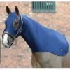 2020 Weatherbeeta Stretch Hood With Zip 589536 - Navy Colour Navy 1 2020 Weatherbeeta Stretch Hood With Zip 589536 - Navy Colour Navy -Chic Equestrian Supplies Weatherbeeta20Stretch20Hood20With20Zip20Navy.700x700