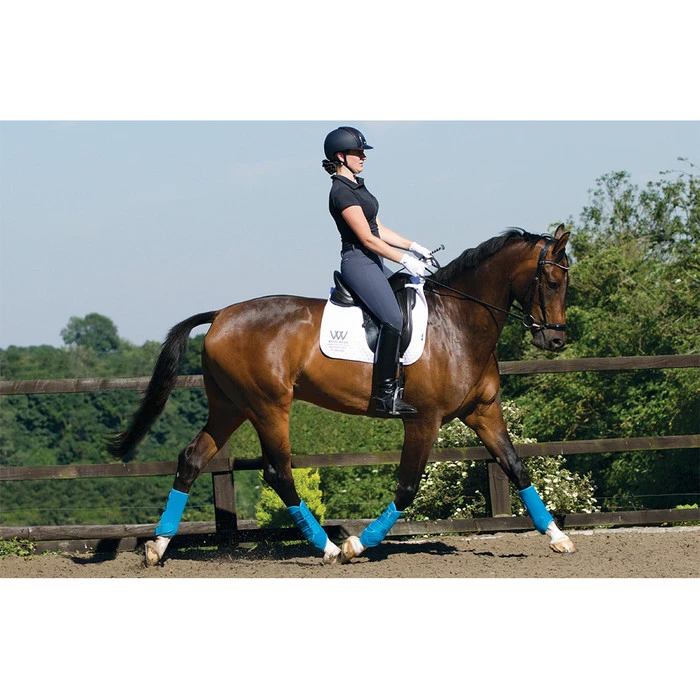 2022 Woof Wear Training Wraps WB0061 - Black / Shiraz Colour Black / Shiraz 7 2022 Woof Wear Training Wraps WB0061 - Black / Shiraz Colour Black / Shiraz - Image 5