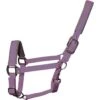 2022 Woof Wear Contour Head Collar WS0022 - Lilac Colour Lilac 1 2022 Woof Wear Contour Head Collar WS0022 - Lilac Colour Lilac -Chic Equestrian Supplies Woof20Wear20Full20Size20Contour20Head20Collar20WS002220 20Lilac201.700x700