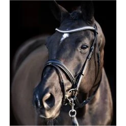 2023 HV Polo Legacy Deluxe Bridle 1201093501 - Black Colour Black