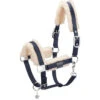 2023 Eskadron Double Pin Matt Gloss Evo-Wool Headcollar 420831 838 - Navy -Chic Equestrian Supplies esk 420831 838 380 f.700x700