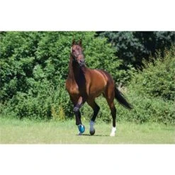 Woof Wear Medical Hoof Boot Blue 10 Woof Wear Medical Hoof Boot Blue -Chic Equestrian Supplies medical20feild.700x700